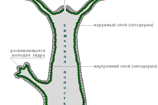 Кракен ссылка