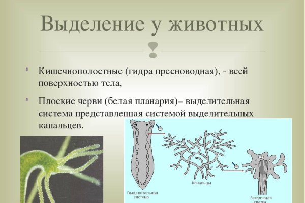 Официальная ссылка на кракен в тор