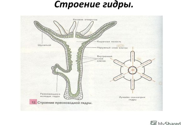 Кракен наркошоп сайт