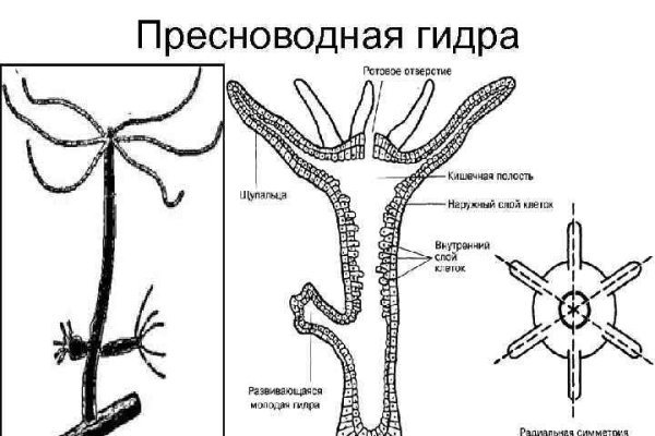 Кракен как зарегистрироваться