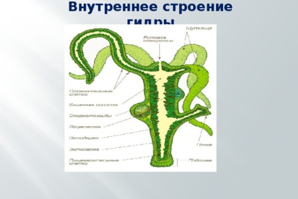 Кракен вход ссылка